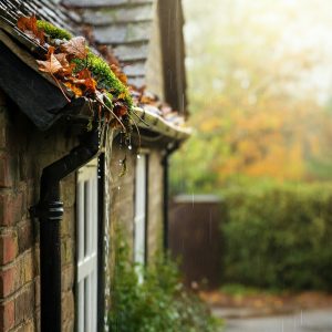 הידרולוגיה והנדסת מים